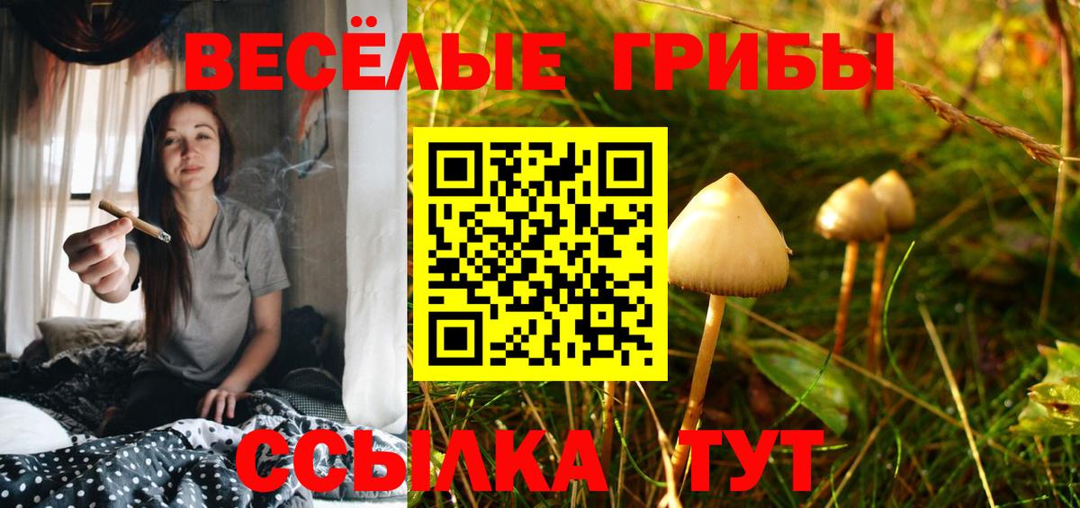 Орёл  Галлюциногенные грибы GOLDEN TEACHER  Вход с VPN  Галлюциногенные грибы Cubensis 